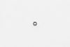 Wilwood nut 5/16-24 hex locking top-crimp clear zinc