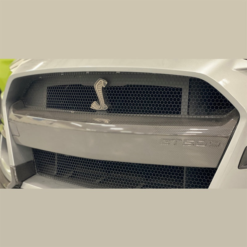 fits Ford 20-21 Racing M-17750-MCF Mustang GT500 Carbon Fiber Bumper Insert