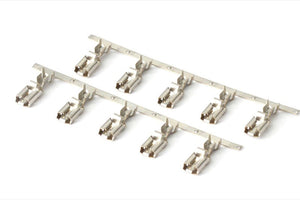 Haltech HT-030250 6 Circuit Fuse Box Pins - Pack of 10