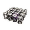 Skunk2 Racing 344-05-1410 Skunk2 Alpha Series fits Honda/fits Acura K Series Valve Spring and Titanium Retainer Kit