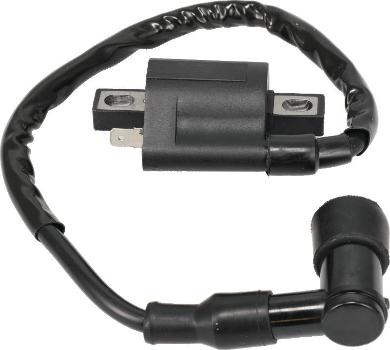 QuadBoss 402276 04-05 Polaris ATP 330 4x4 Ignition Coil