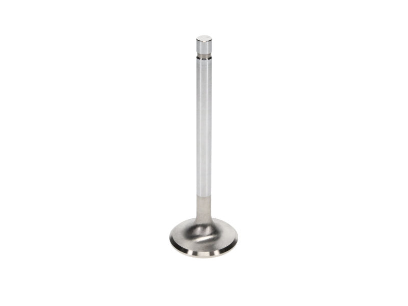 Manley  11827-8 SBC 1.600 Severe Duty Intake Valves (Set of 8)