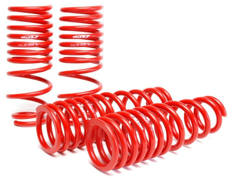 Skunk2 Racing 519-05-1480 Skunk2 92-95 fits Honda Civic/Del Sol Lowering Springs (2.50in - 2.25in.) (Set of 4)