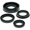 QuadBoss 564158 04-06 Polaris Predator 50 Oil Seal Set