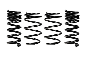 Eibach E10-35-064-02-22 24+ fits Ford Mustang GT Coupe 5.0L RWD S650