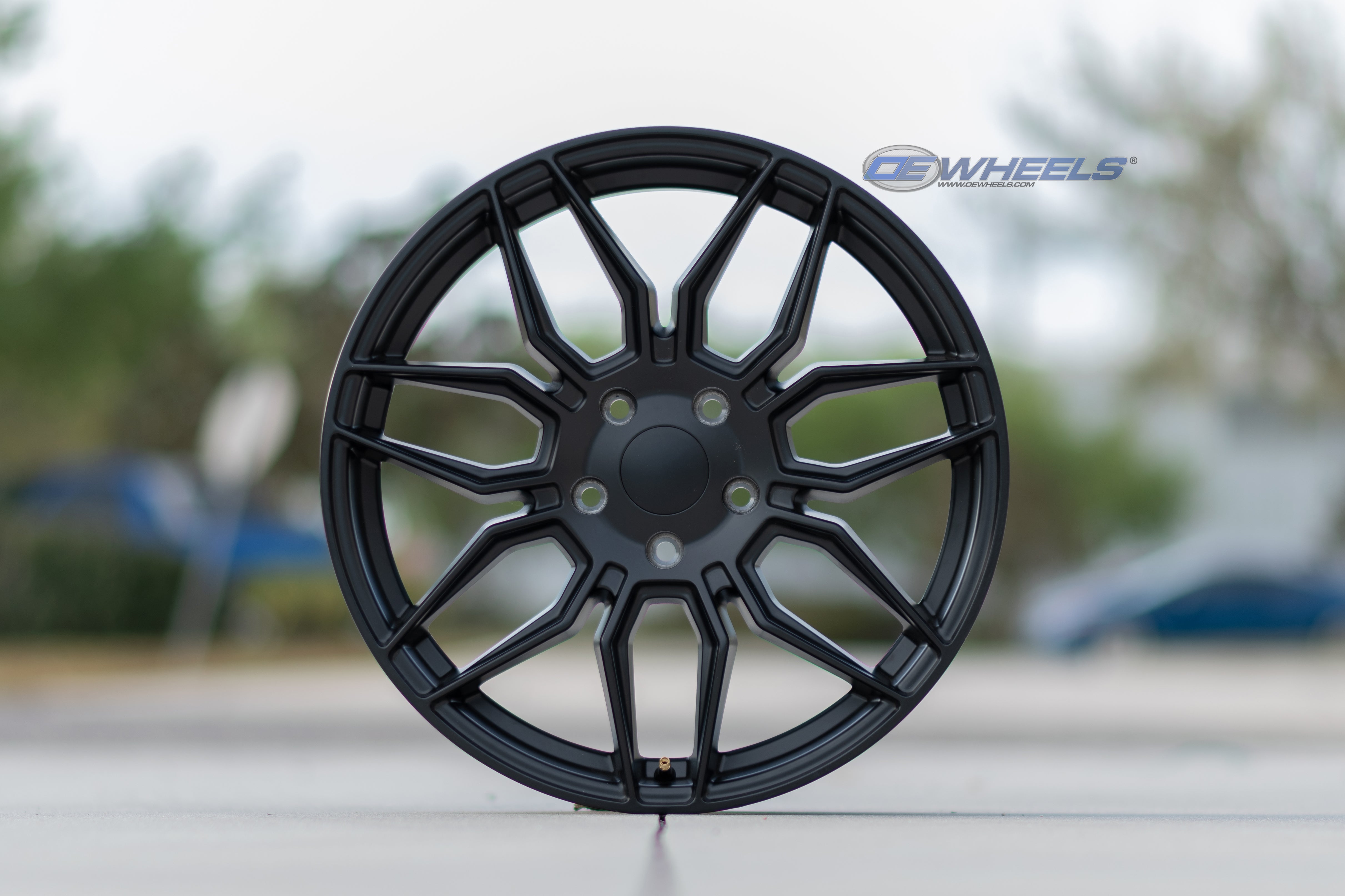 OE Wheels CV03D-19085-5120-51B1 19" Replica fits Chevrolet C8 Corvette Satin Blk