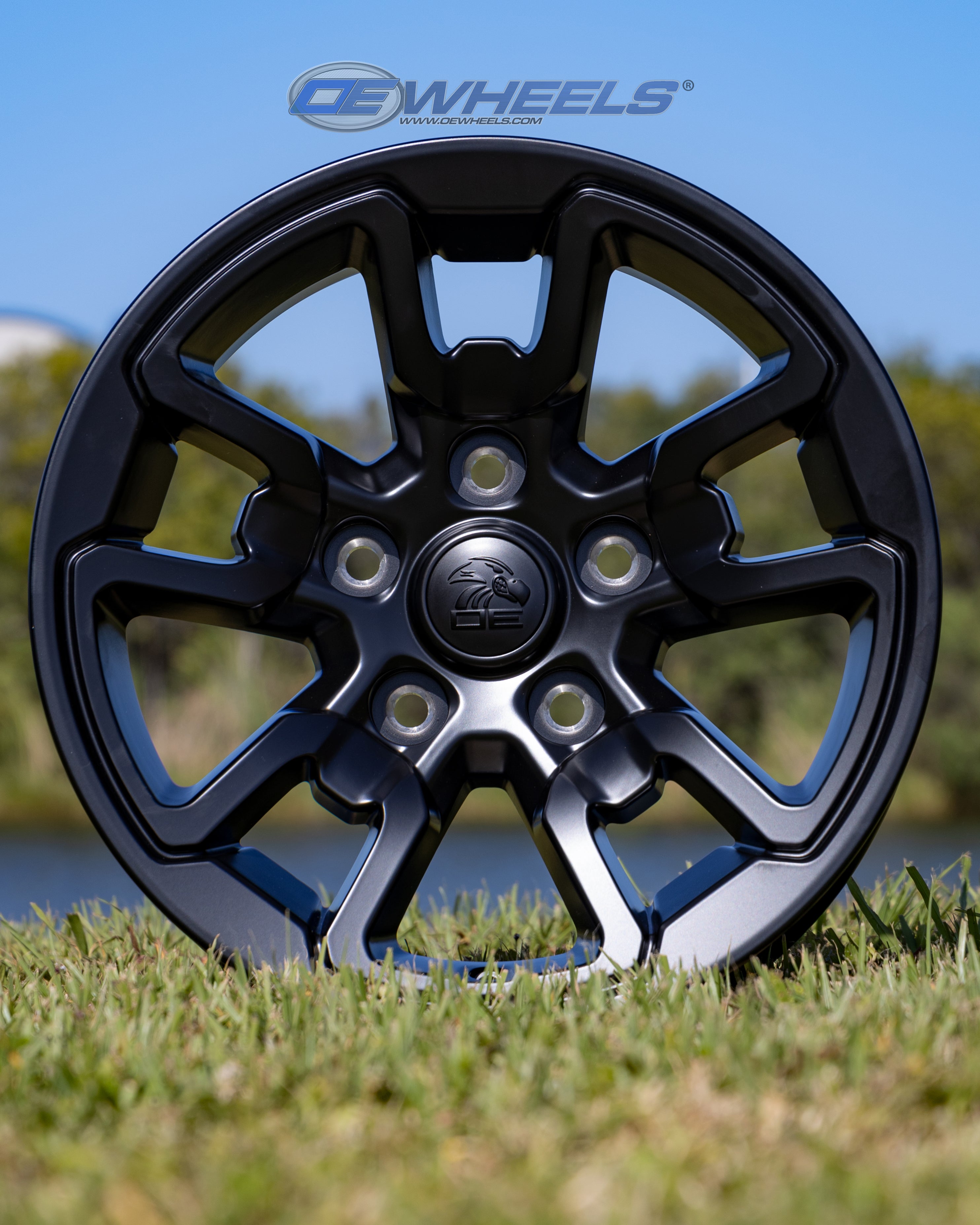 OE Wheels DG55-17080-5550-18B1 17" Replica DG55 fits Dodge RAM Rebel 17x8 Black