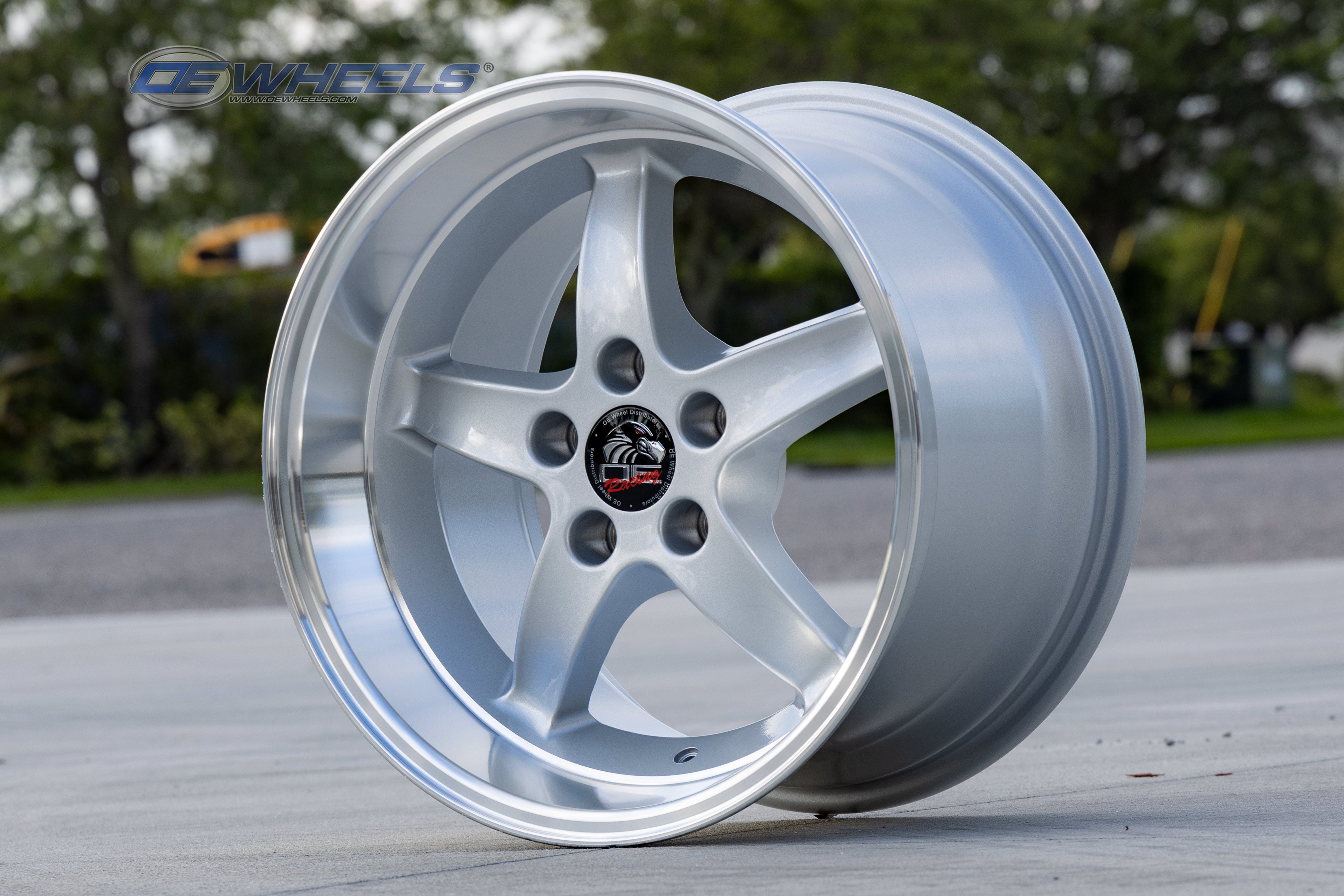 OE Wheels FR04B-D17090-5450-24SM 17" Replica fits Ford Mustang Cobra 17x9 Silver