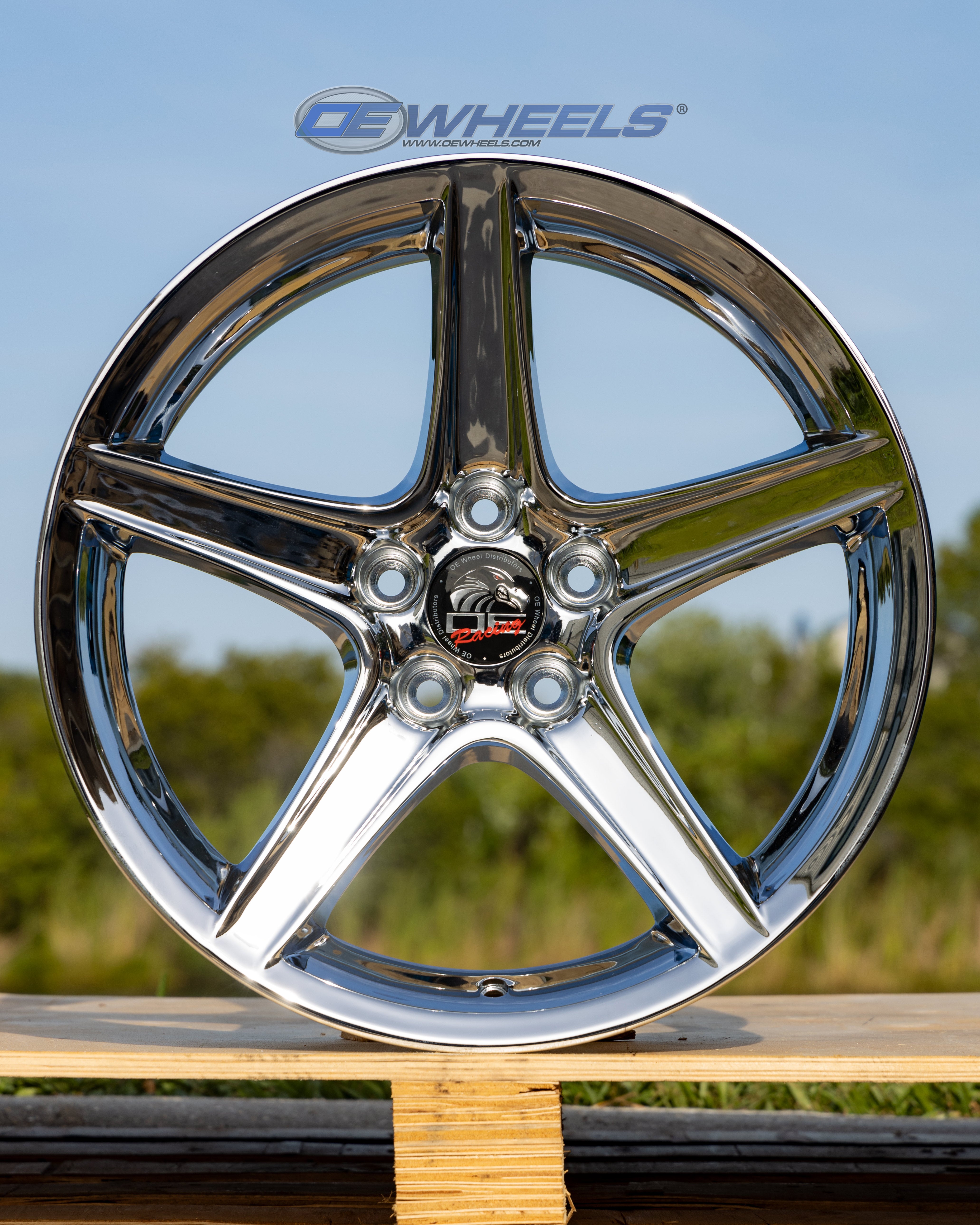 OE Wheels FR06B-18090-5450-24C 18" Replica FR06B fits Ford Mustang Saleen Chrome