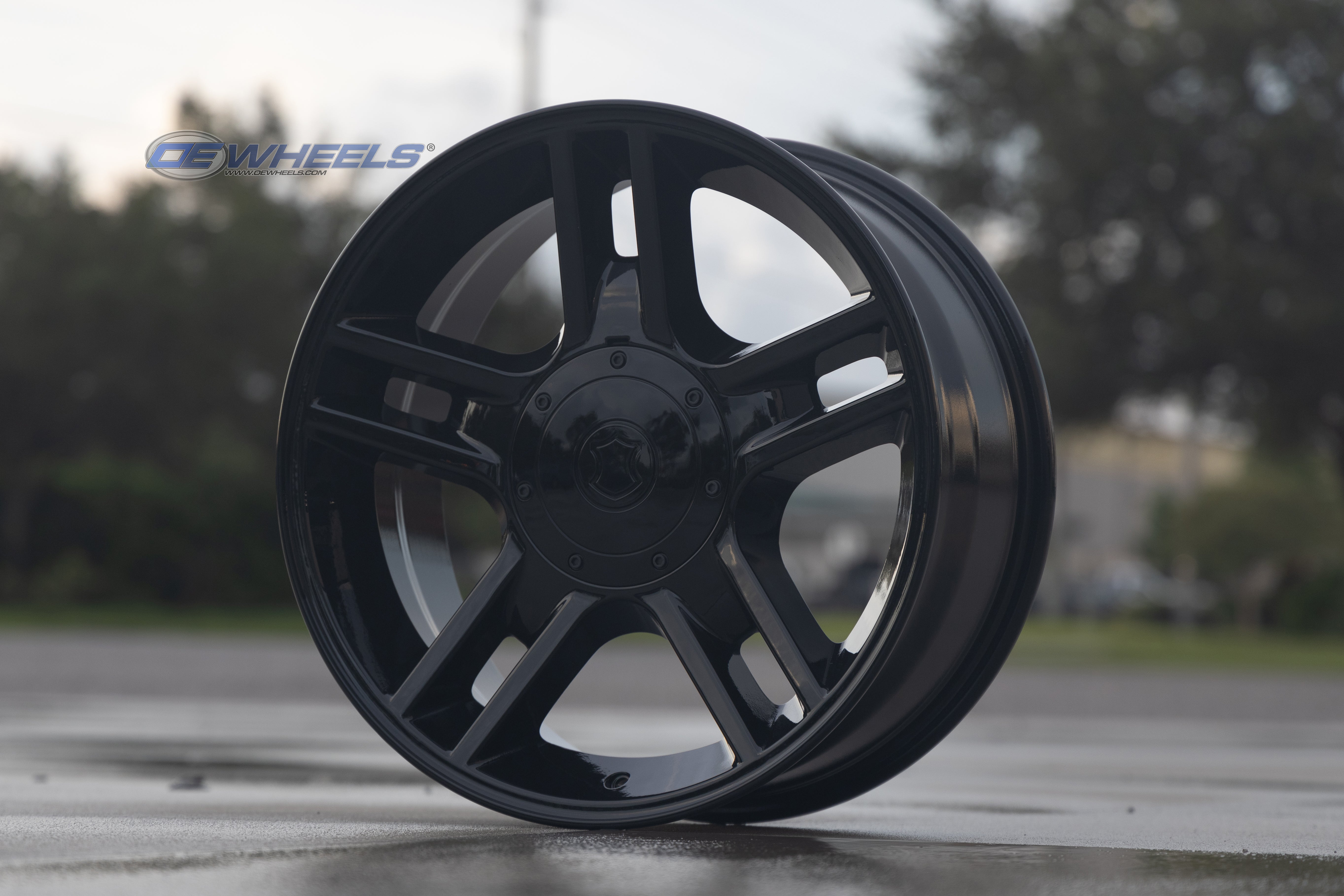 OE Wheels FR81-20090-5135-14B 20" Replica FR81 fits Ford F150 20x9 Black