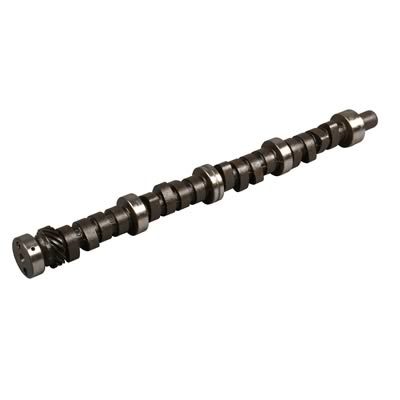 ISKY CAMS 351271