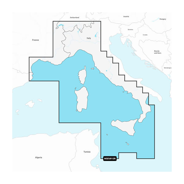 GARMIN CARTO 010-C1238-20
