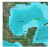 GARMIN CARTO 010-C1154-20