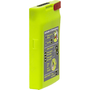 Descriptive image text