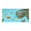 GARMIN CARTO 010-C0787-20