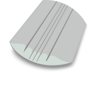 Descriptive image text