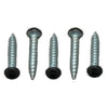 AP PRODUCTS 012-PSQ50BL 8 X 3/4