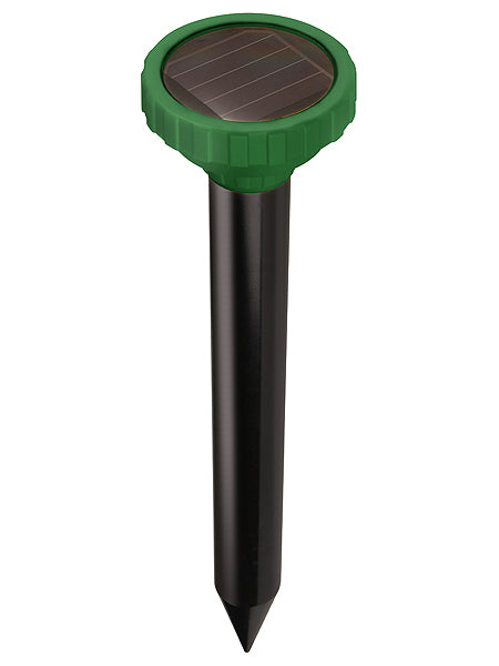 P3 INTERNATN P7912