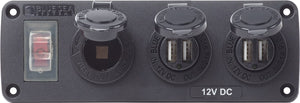 BLUE SEA 4365-BSS PANEL ACC H2O 2 USBS & SCKT