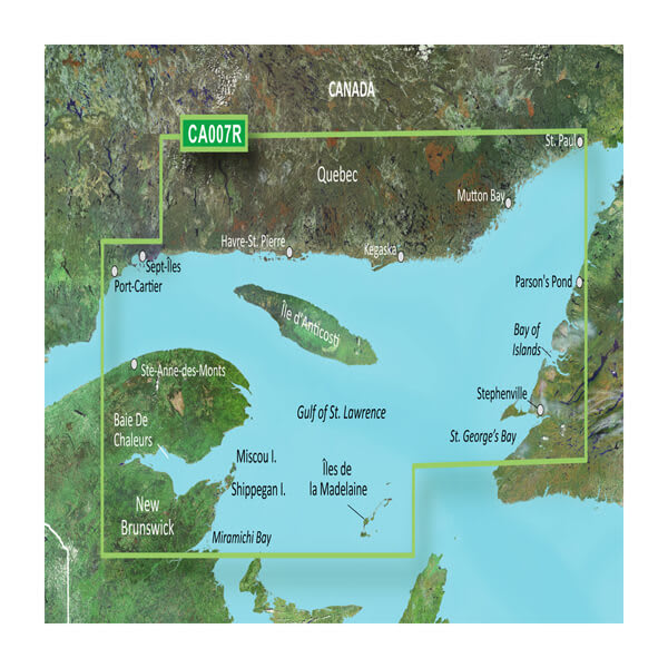 GARMIN CARTO 010-C0693-00