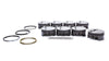 MAHLE PISTONS 930200755