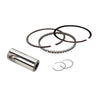 MAHLE PISTONS 930227970