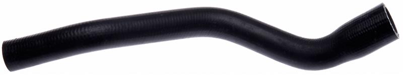 Gates 19825 2002 fits Ford Mustang V-8 4.6L By Pass - Rad. To Thermostat Mold