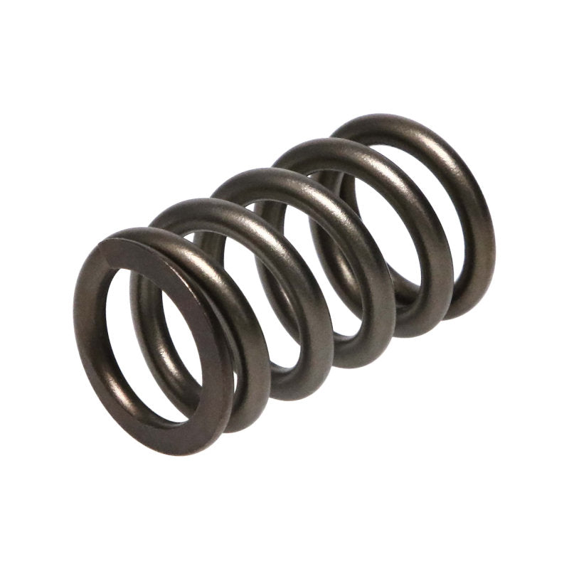 Manley  22190-16 fits Dodge SRT-4 16pc Valve Springs