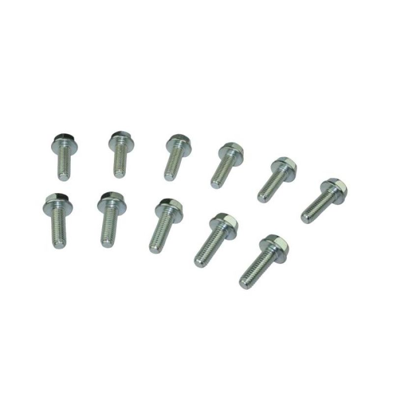 Moroso 38307 GM LS LSX Lifter Valley Plate Bolts