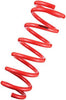 Tanabe TNF147 NF210 Springs 10-14 Cube