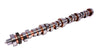 COMP Cams 34-422-9 Camshaft FF XR270HR-10
