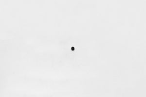 Wilwood bolt 10-32X.19 LG (3/16) set screw cup point black