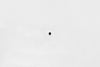 Wilwood bolt 10-32X.19 LG (3/16) set screw cup point black