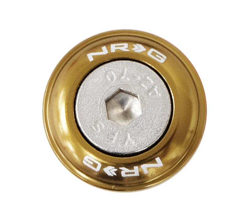 NRG FW-100TI Fender Washer Kit w/Rivets For Plastic (Titanium) - Set of 10