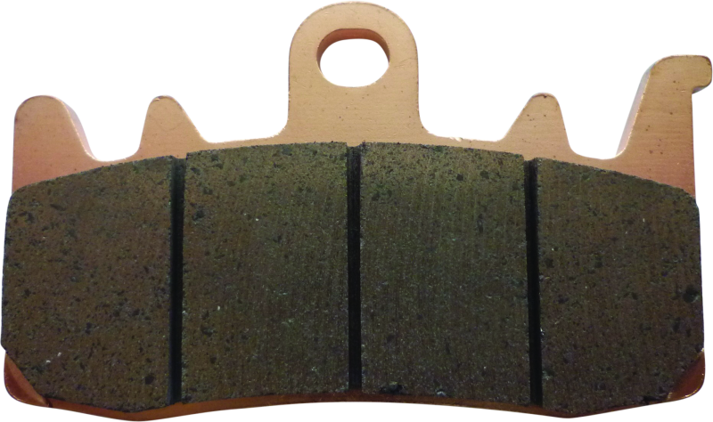 Twin Power 597029 fits  21-Up Pan America and Sportster S Sintered Brake Pads Re