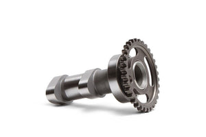 Hot Cams 2203-2IN 10-18 RM-Z 250 Intake Camshaft - Stage 2