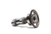 Hot Cams 2203-2IN 10-18 RM-Z 250 Intake Camshaft - Stage 2