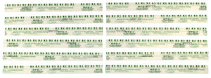 Clevite MPG1 Plastigage Green Plastigage - 12 Pack