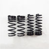 RS-R T176S 13+ fits Lexus GS350 AWD (GRL15) Super Down Springs