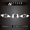Attack Graphics 100-441-0154
