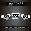 Attack Graphics 100-441-0107