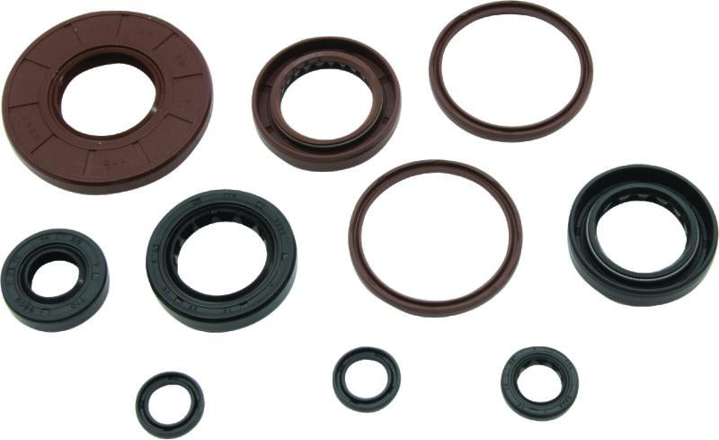 QuadBoss 564616 Qb Oil Seal Set