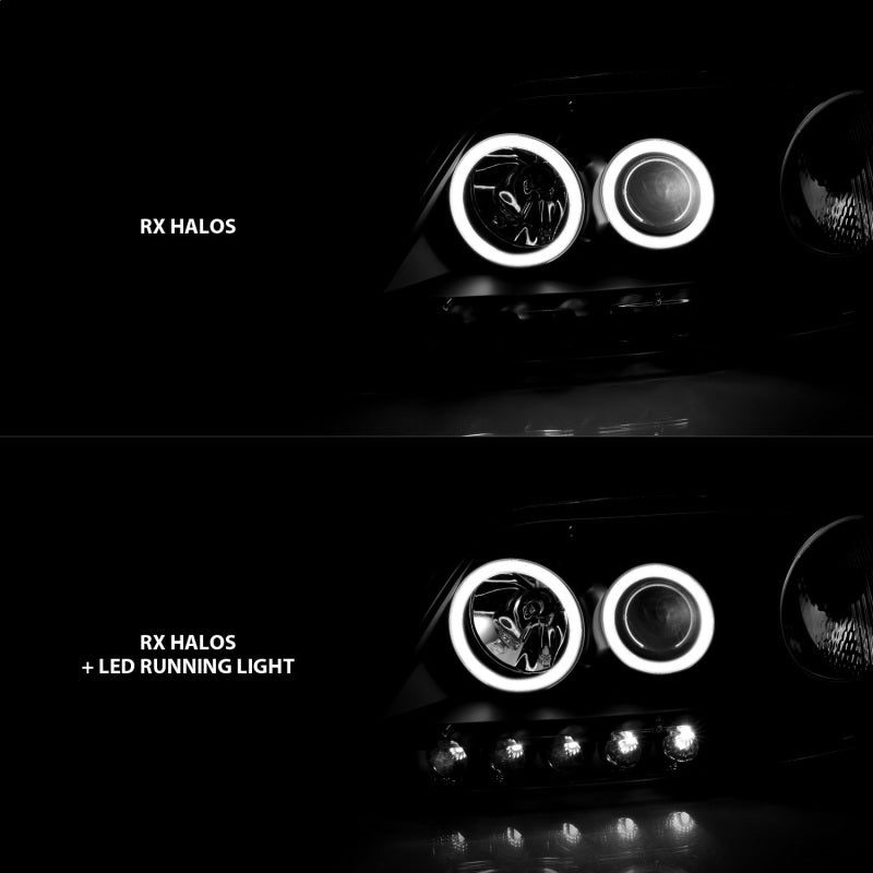 ANZO 111097 1903 fits Ford 97-20 F-150 Projector Headlights w/ Halo Black (CCFL)