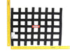 Racequip 726002 Black 15 X 21 SFI Ribbon Net