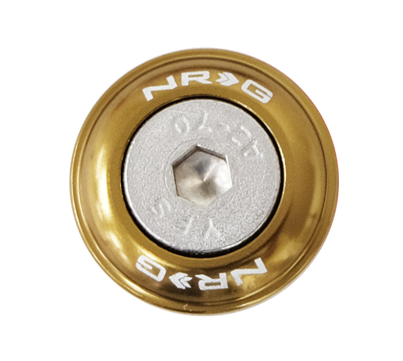 NRG FW-100TI Fender Washer Kit w/Rivets For Plastic (Titanium) - Set of 10