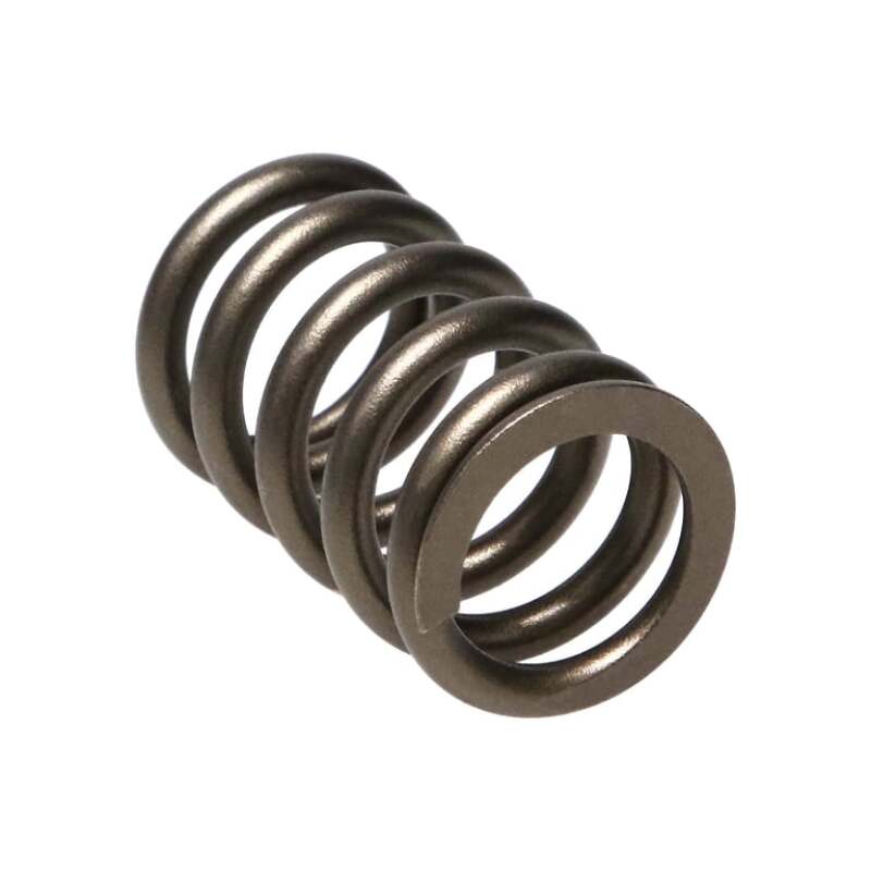 Manley Performance 22155-24 Manley Valve Spring, SPRING-fits fits NISSAN PATR