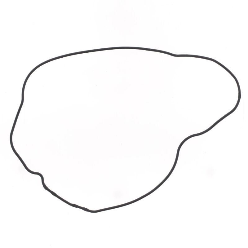 Athena S410210017063 95-03 fits Honda TRX 400 FW Generator Side Gasket