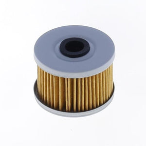 Athena FFC022 05-08 Beta RR 450 4T Oil Filter
