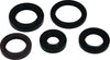 QuadBoss 564785 Qb Oil Seal Set