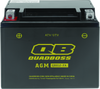 QuadBoss 401381 fits GM Battery QBX12-FA